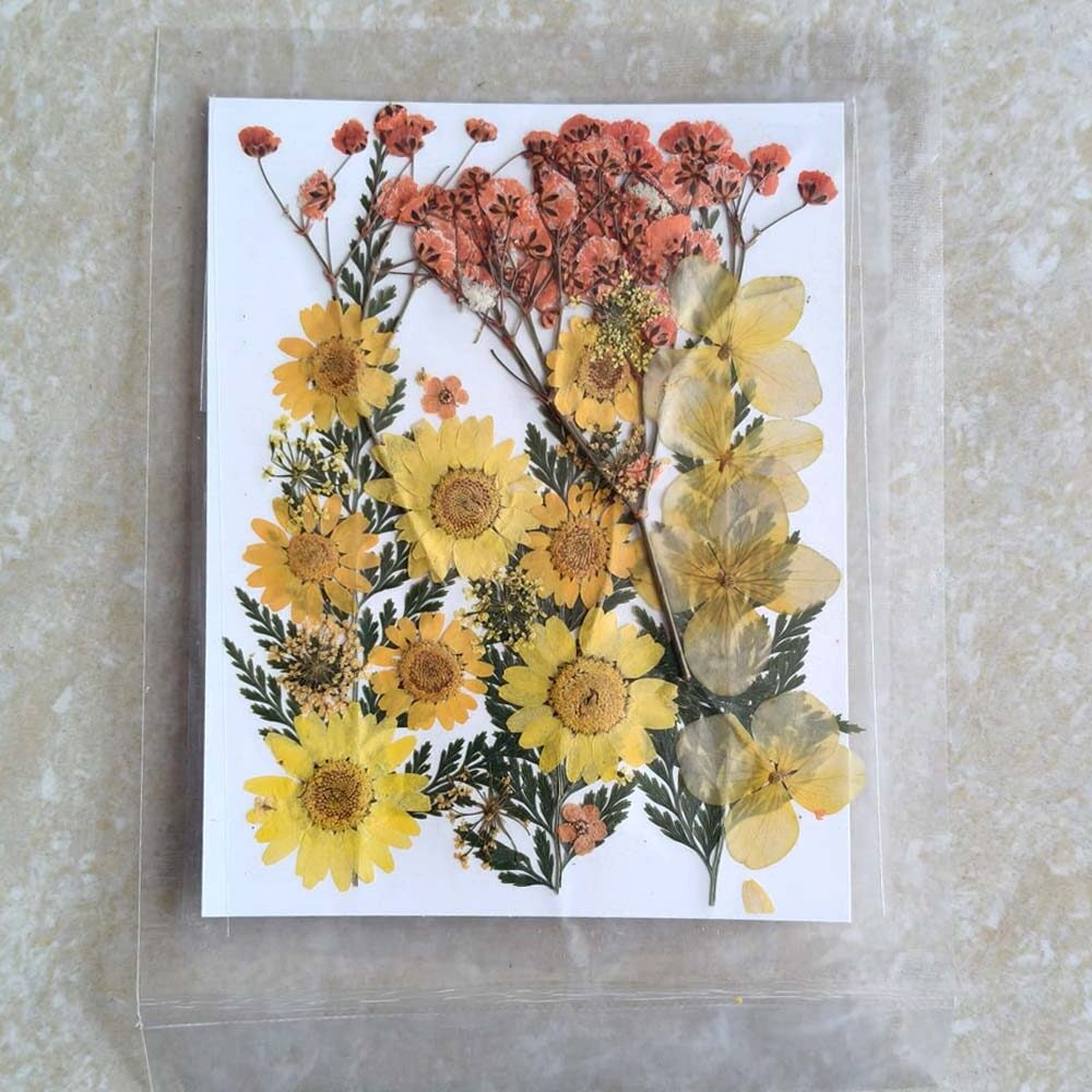 Pressed Dry flowers for resin art (TR1244)