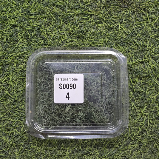 Moss Imported for Ocean Resin Art (S0090-4)
